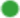 icon green